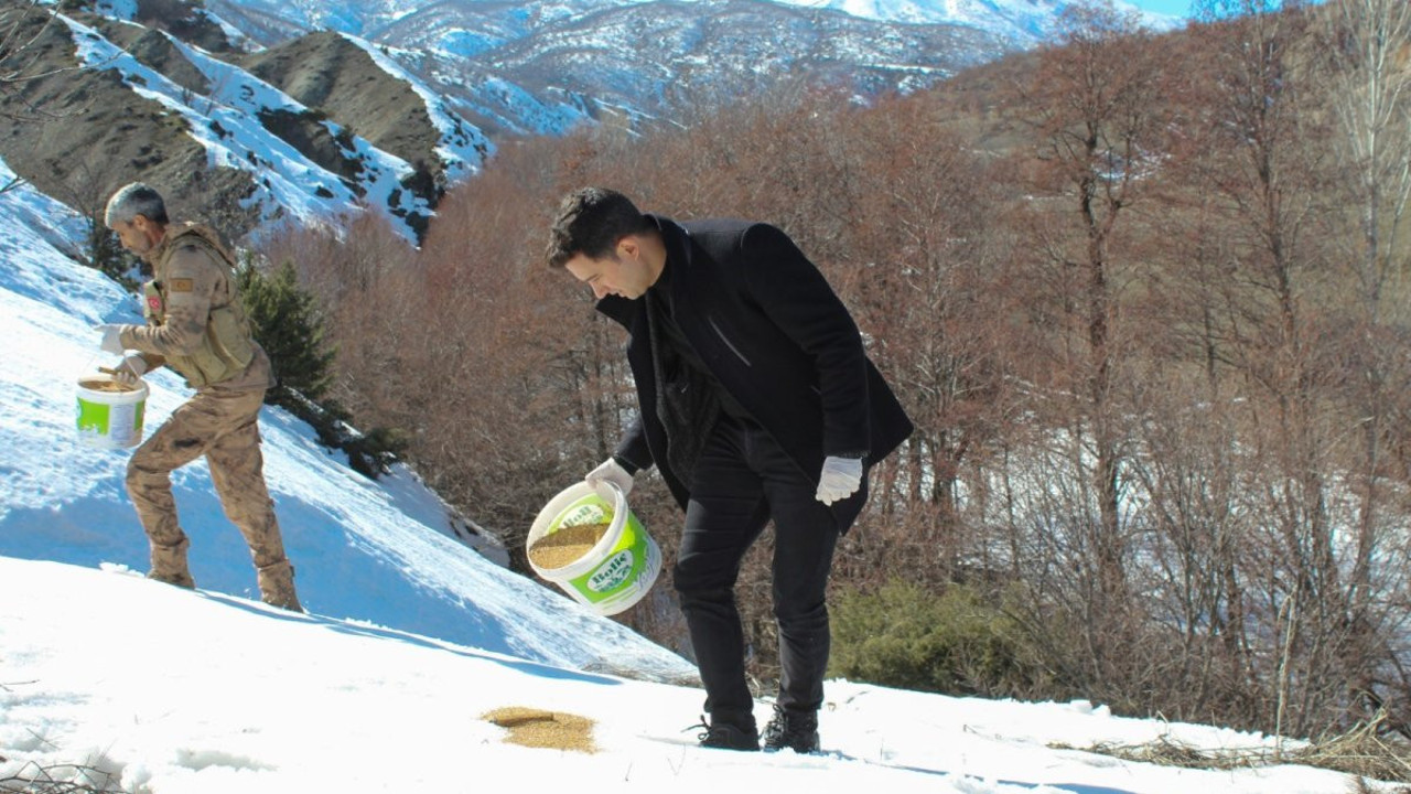 Genç’te yaban hayatı unutulmadı