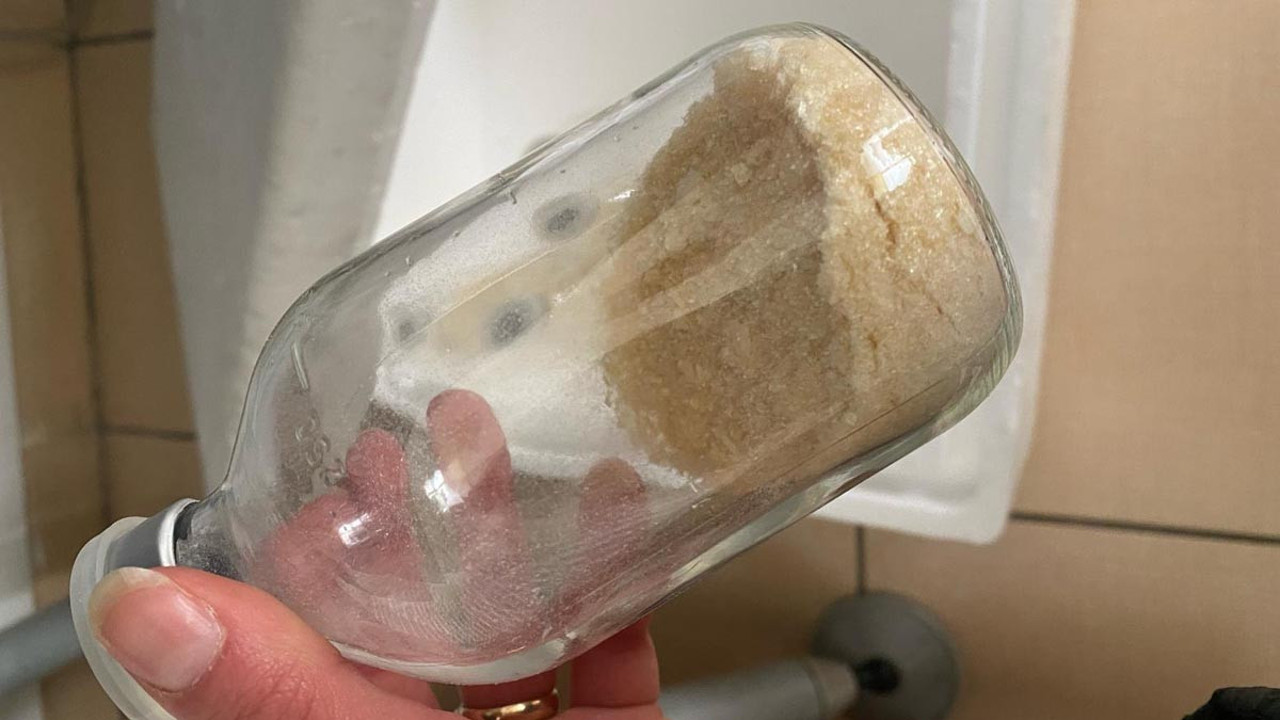 Hayvan kanlarıyla deneyler yapılmış! Gen tedavisi adı altında 12 bin dolar talep ediyorlar