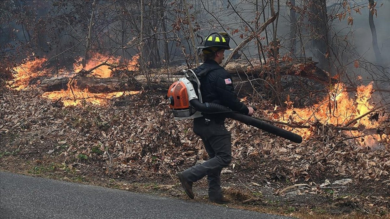 Acil durum ilan edilmişti! 4 yerde çıkan orman yangınlarına soruşturma
