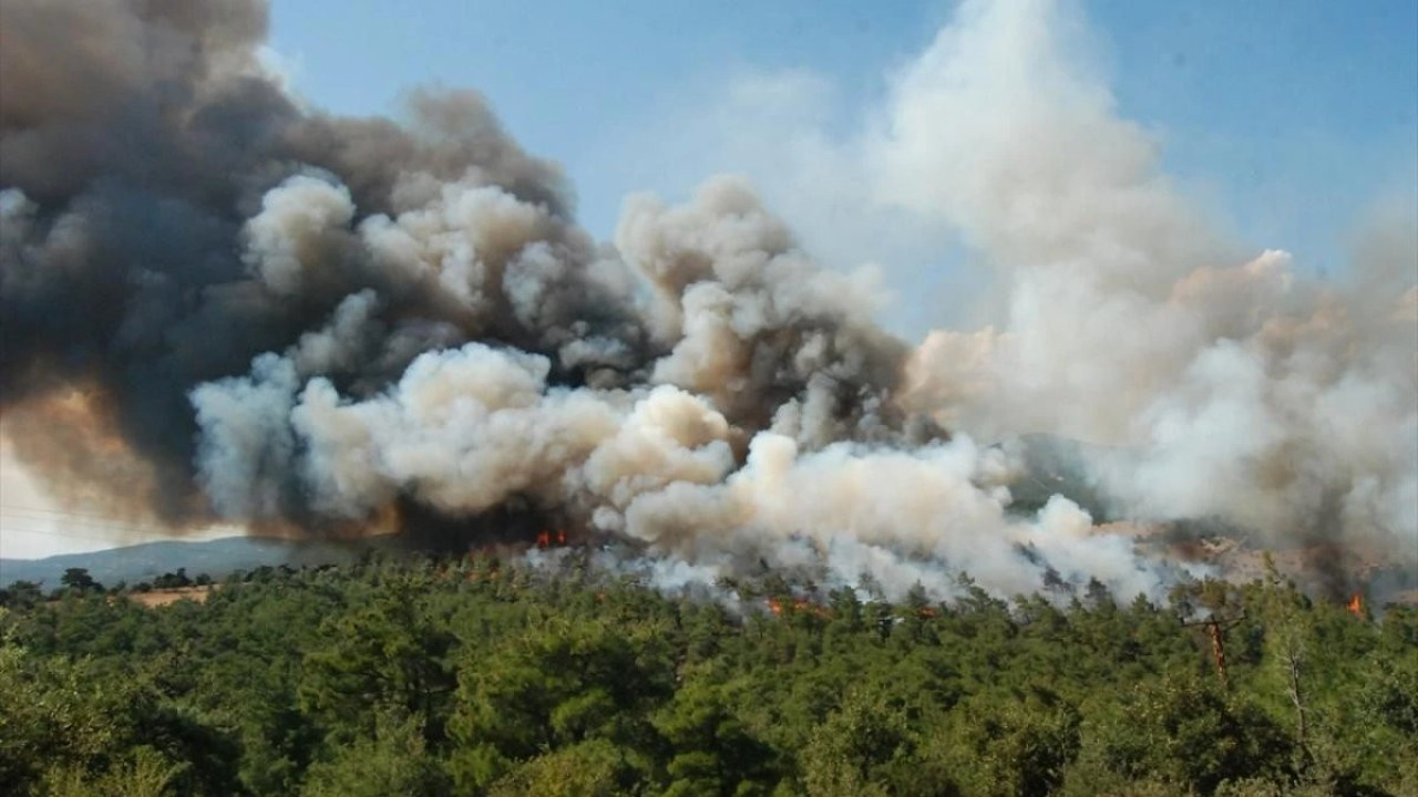 Çanakkale'de orman yangını! Müdahale ediliyor