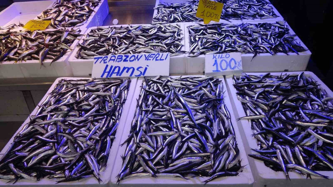 Balık avı sezonunda sona geliniyor! Tarihi netleşti