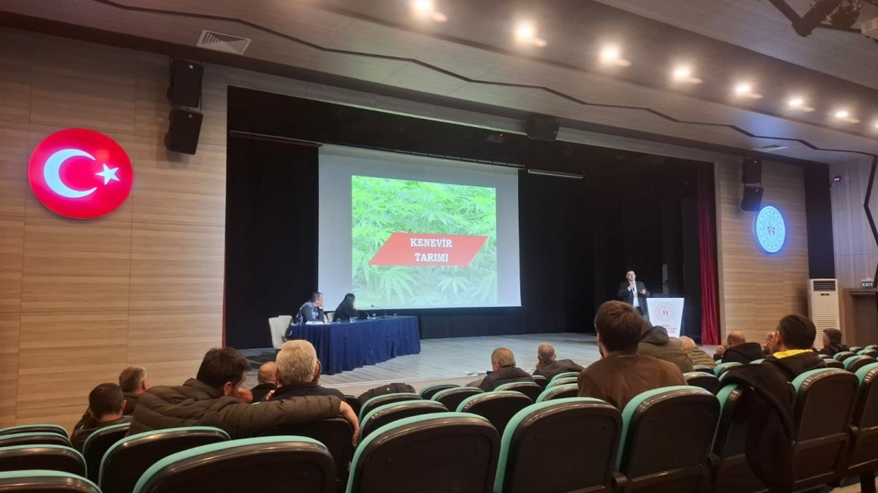 Kaçak kenevir ekimiyle mücadeleye devam!