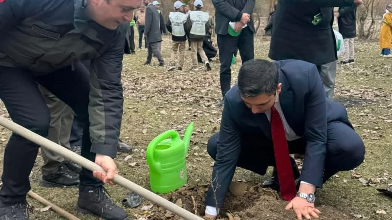 Şehit ve gaziler için fidan dikildi