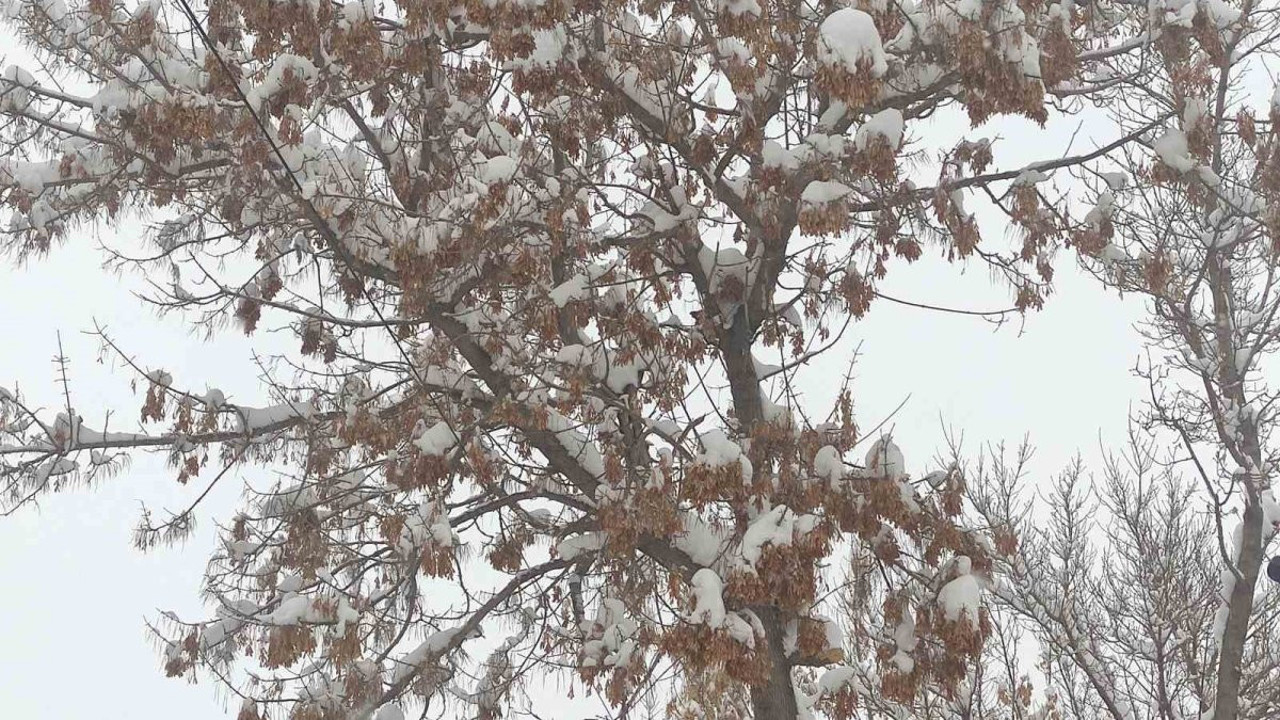 Ardahan’da kartpostallık kar görüntüleri