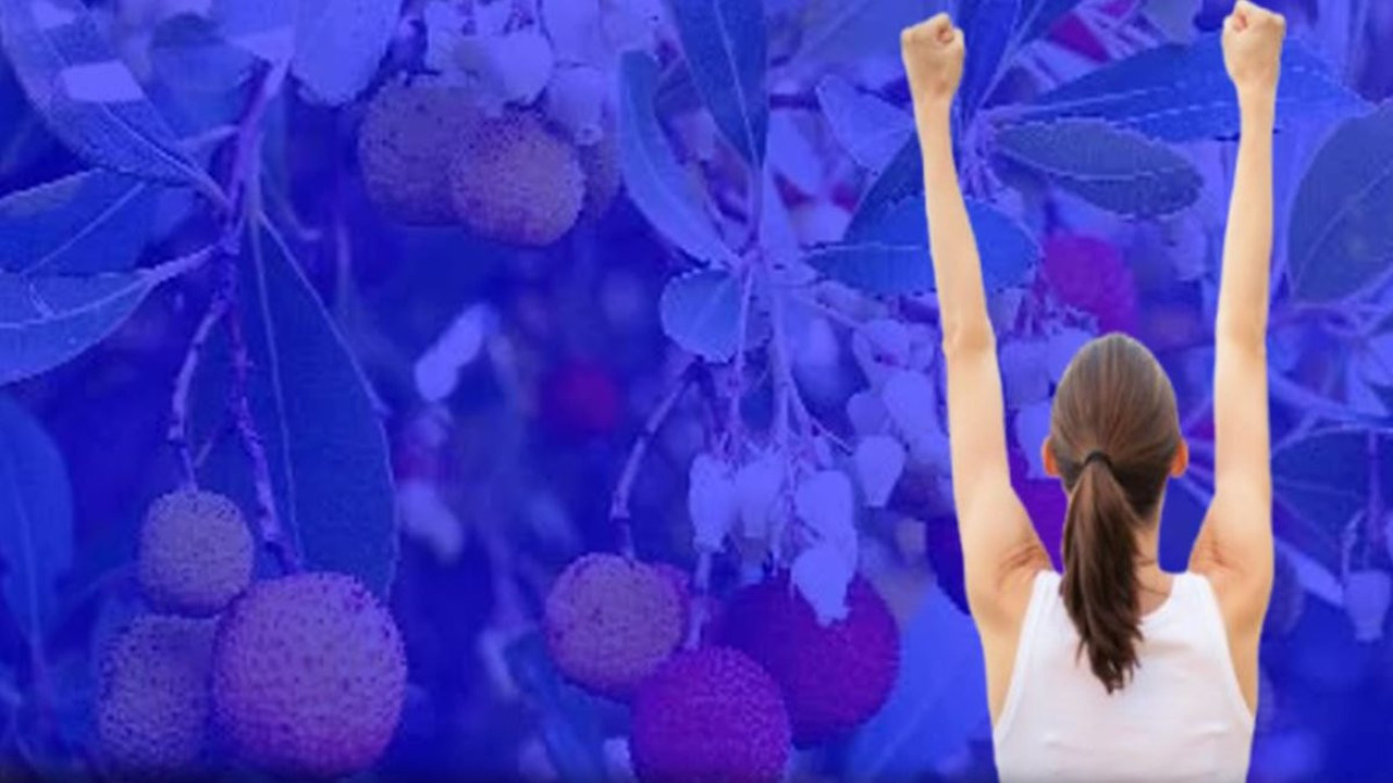 Kayalıklardan gelen şifa depoları! 7 bitkinin faydaları saymakla bitmiyor