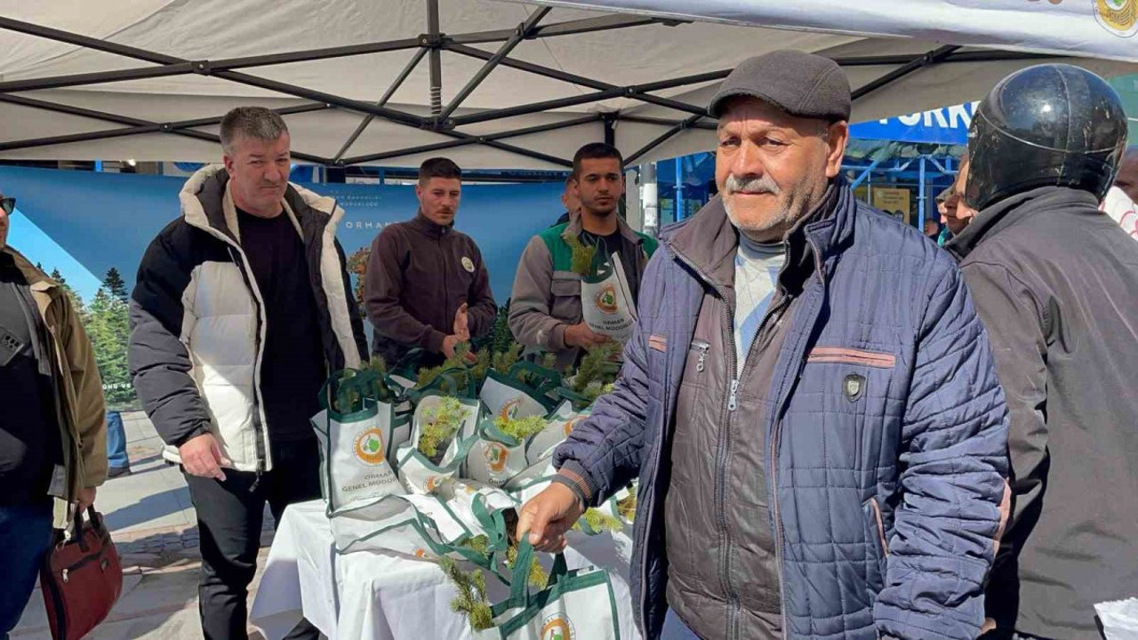 Edirne’de çam fidanı dağıtıldı