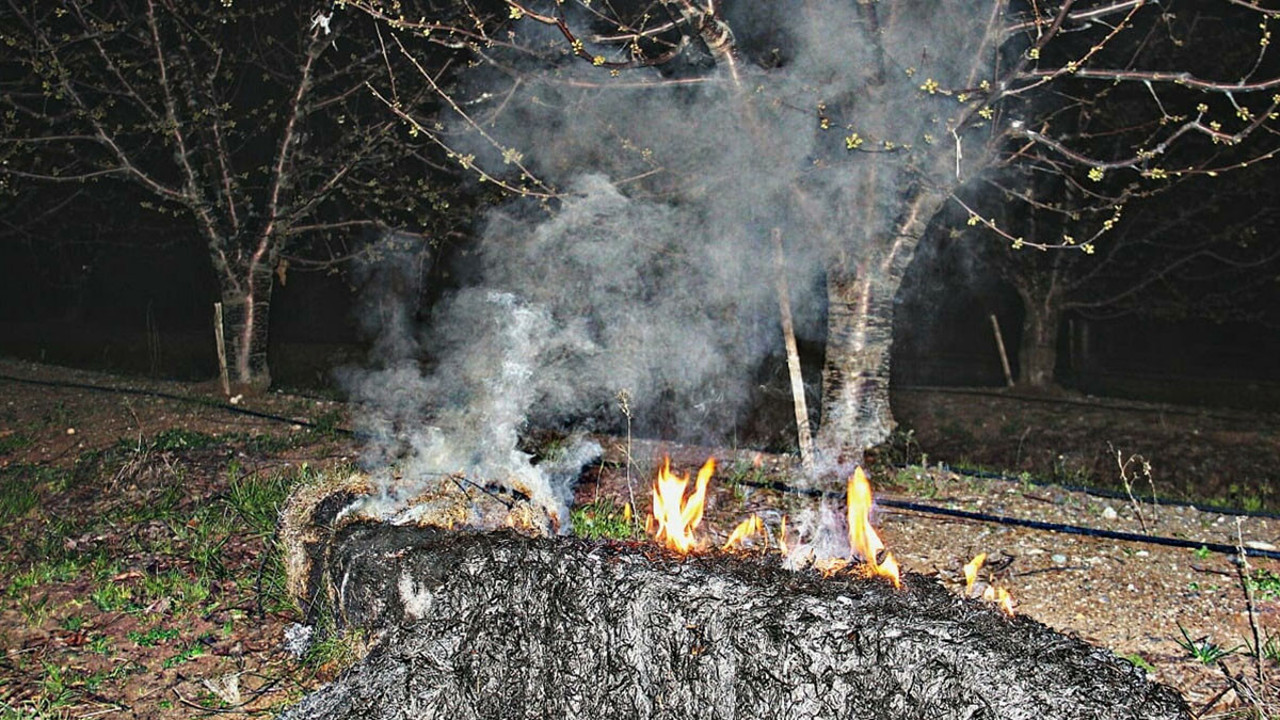 Ateşler yakıldı! Çanakkale’de üreticiler zararı asgariye indirmeyi hedefliyor