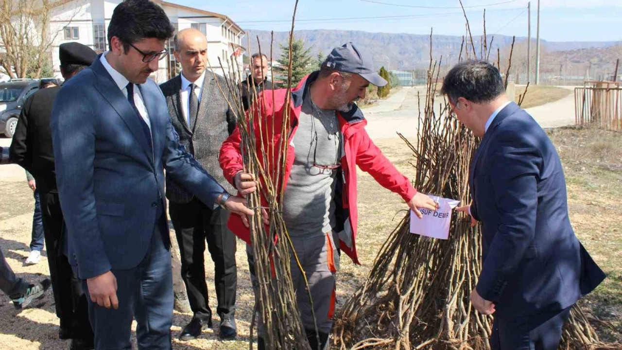 Bolu’da geleceğin fidanları yeşermeye devam edecek