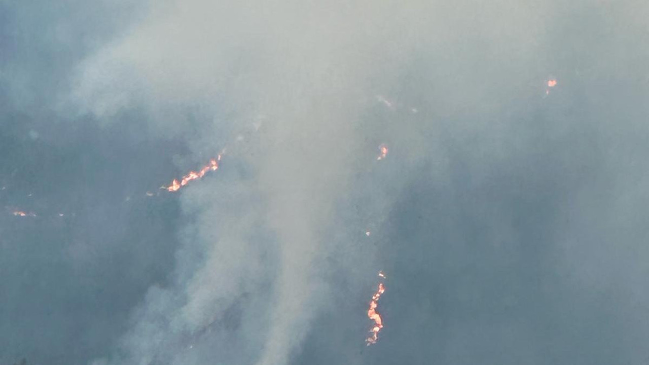 Balıkesir'de orman yangını