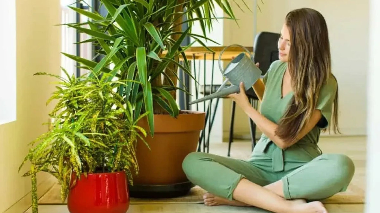 Bitkiler sakinlik getirir mi? İşin uzmanları anlatıyor