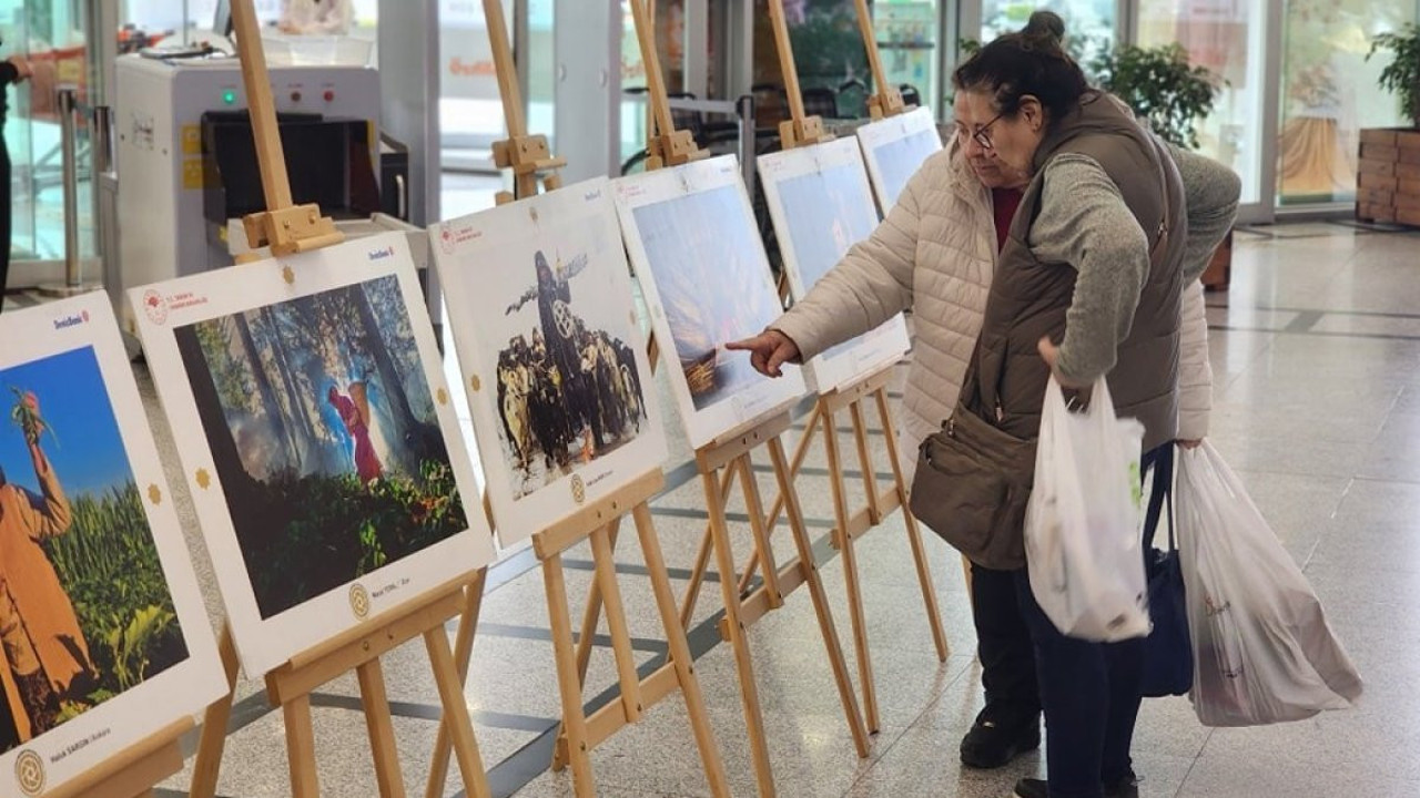 Orman ve insan fotoğraflarla anlatıldı