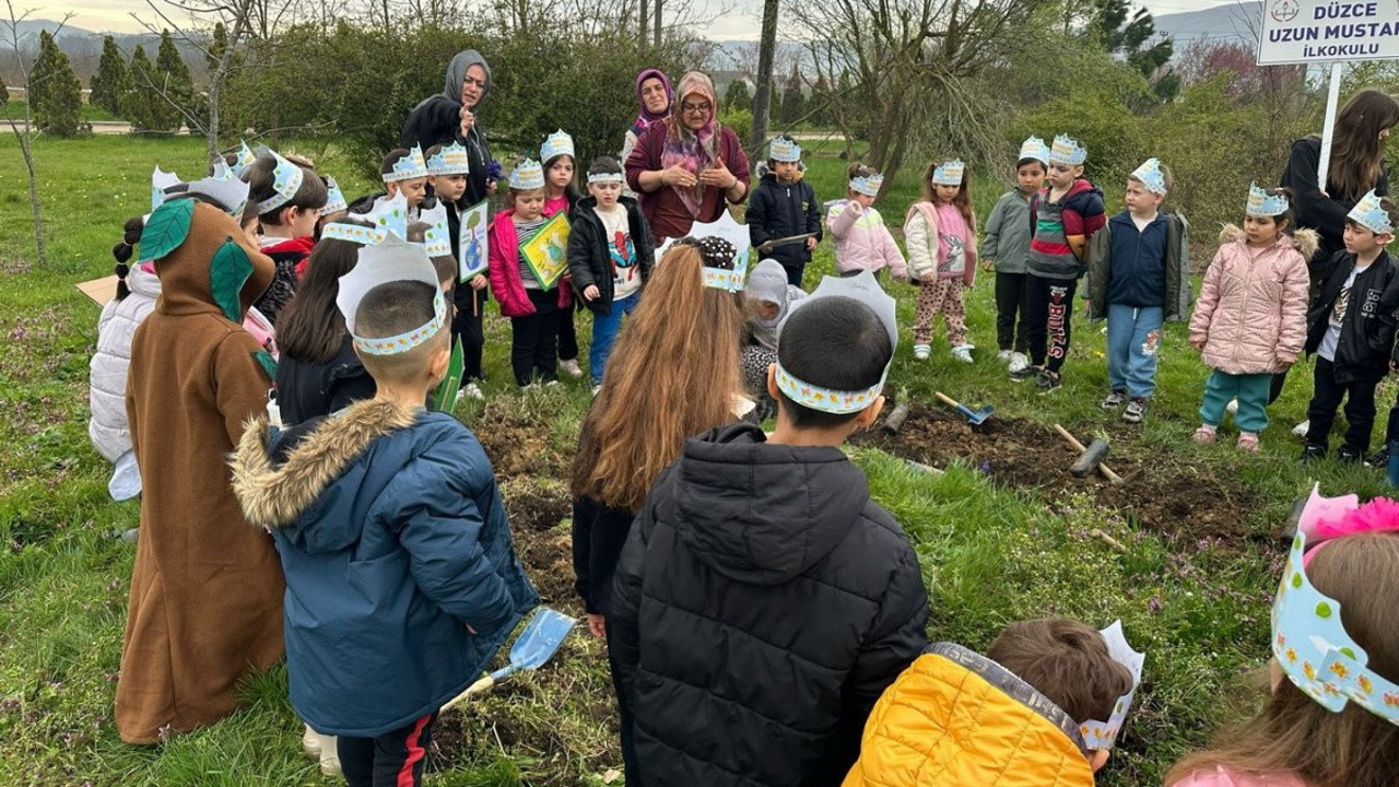 Enerji dostu mavi yeşil okul