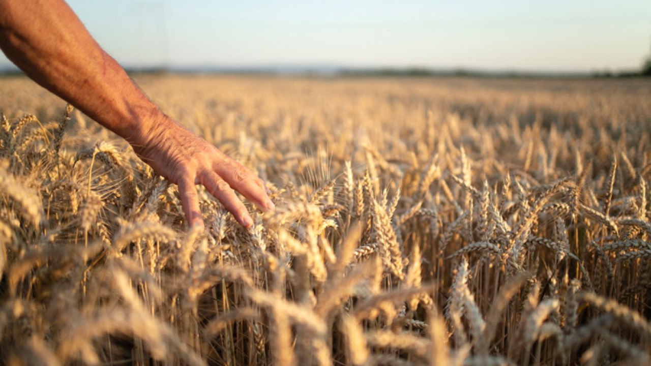 Çiftçiler yağmur duasında