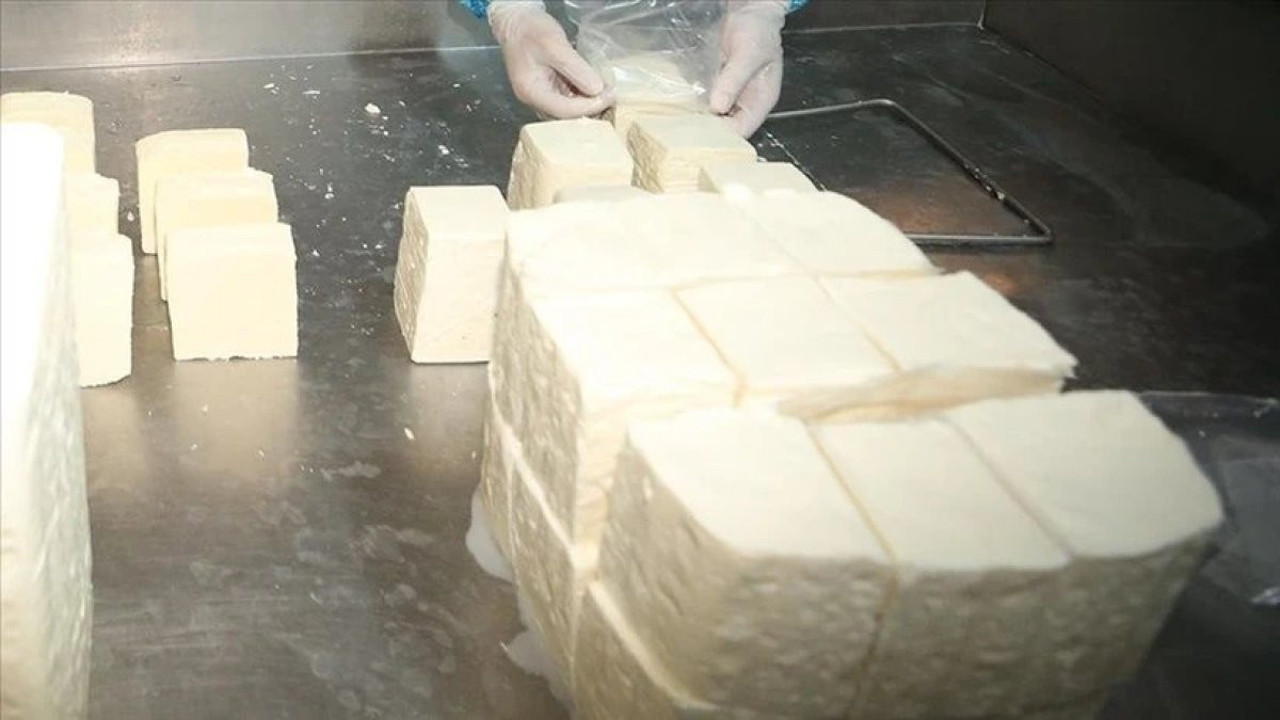 İlk bakışta kendisini ele veriyor! Bozuk peynir olup olmadığını anlamanın 3 yolu