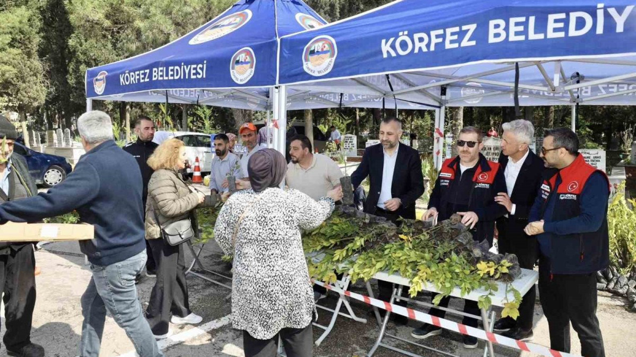 Körfez Belediyesi mezarlıklarda fidan dağıttı