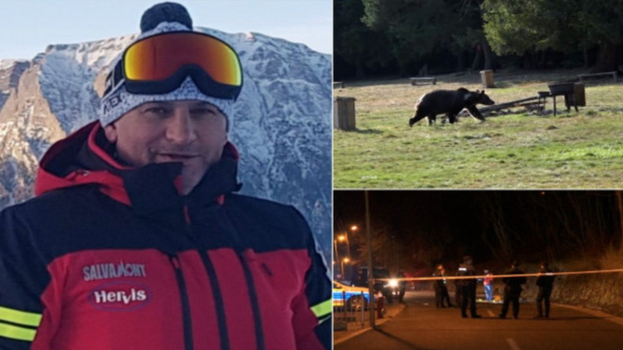 Kurtarma ekibinin liderine ayı saldırdı