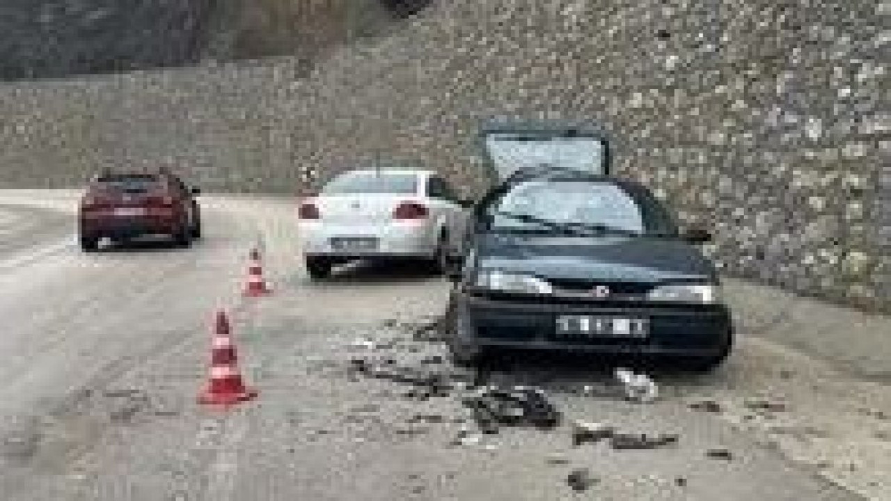 Muş'ta küçükbaş hayvanlar meralara çıkarıldı