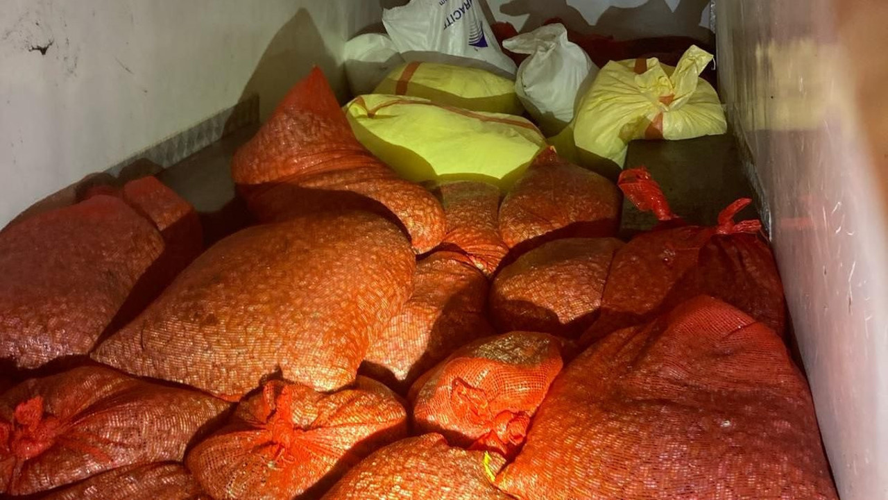 Kaçak midye avcılığına binlerce lira ceza kesildi