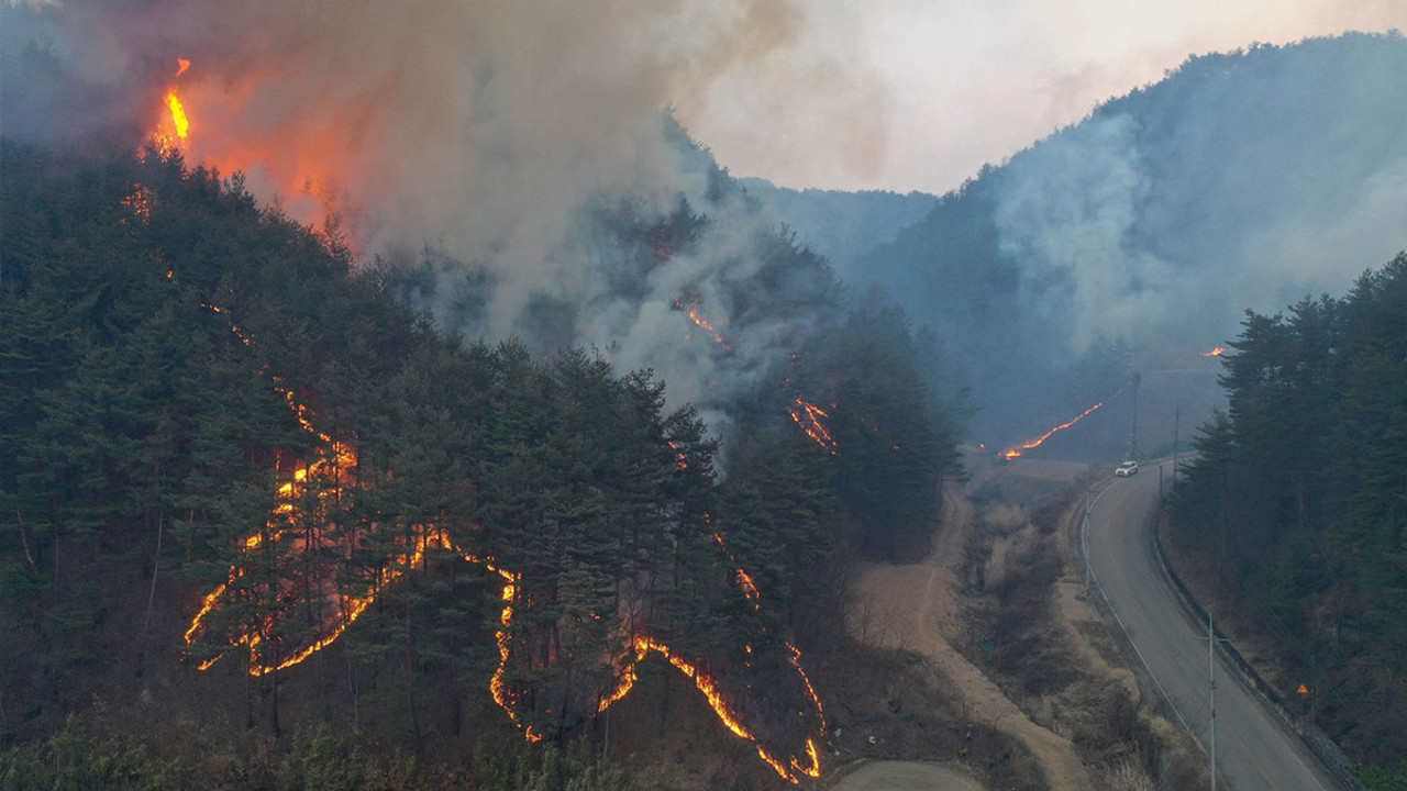 Güney Kore'de orman yangınında facia: Yangın söndürme helikopteri yere çakıldı: Pilot öldü