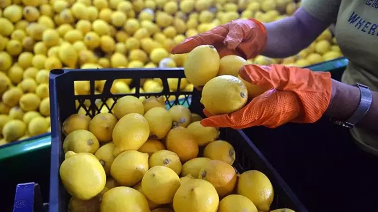Ticaret Bakanlığı'ndan şok limon kararı! Tamamen durduruldu...