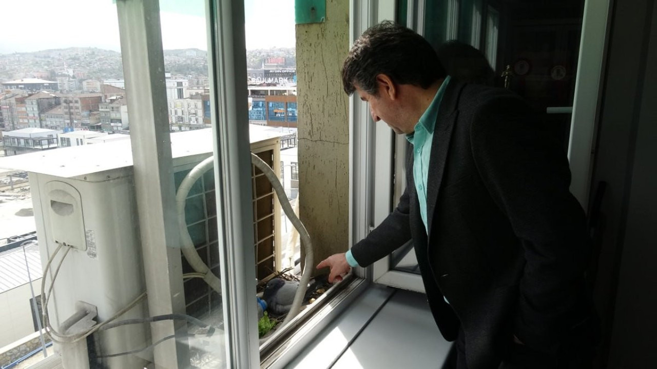 Mühendis, güvercinler için klimasını kapattı