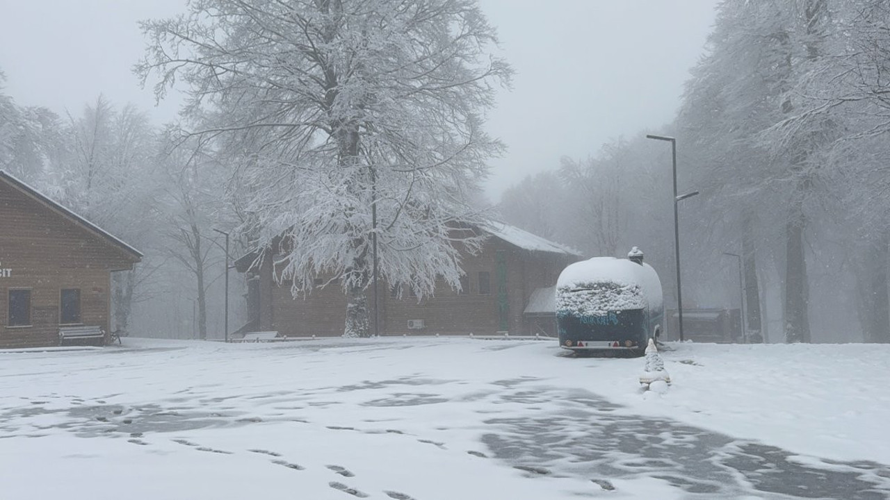 İlkbahar'ın ortasında beyaz örtüyle kaplandı