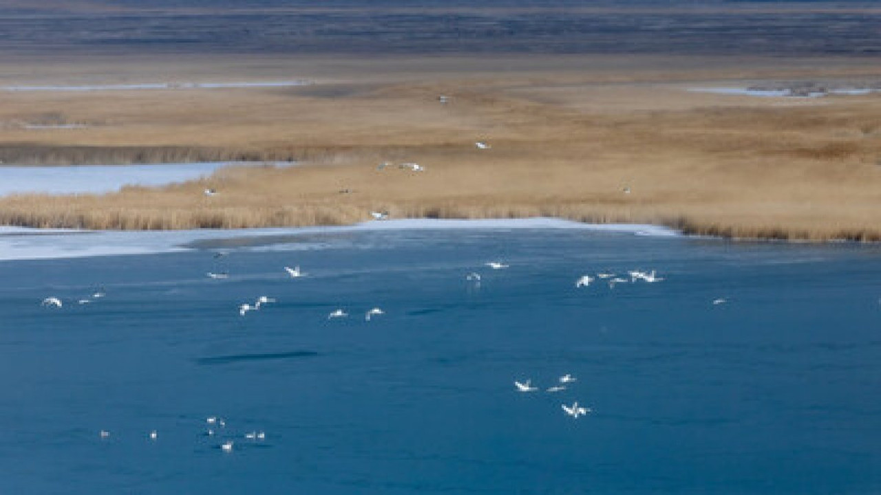Gezegenin geleceği Semerkant’ta sanatla şekilleniyor