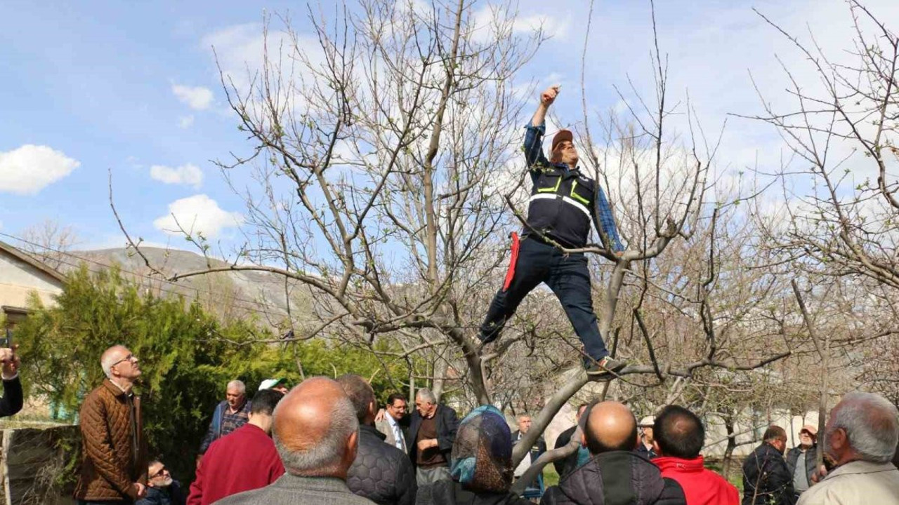Budama kursuna yoğun ilgi