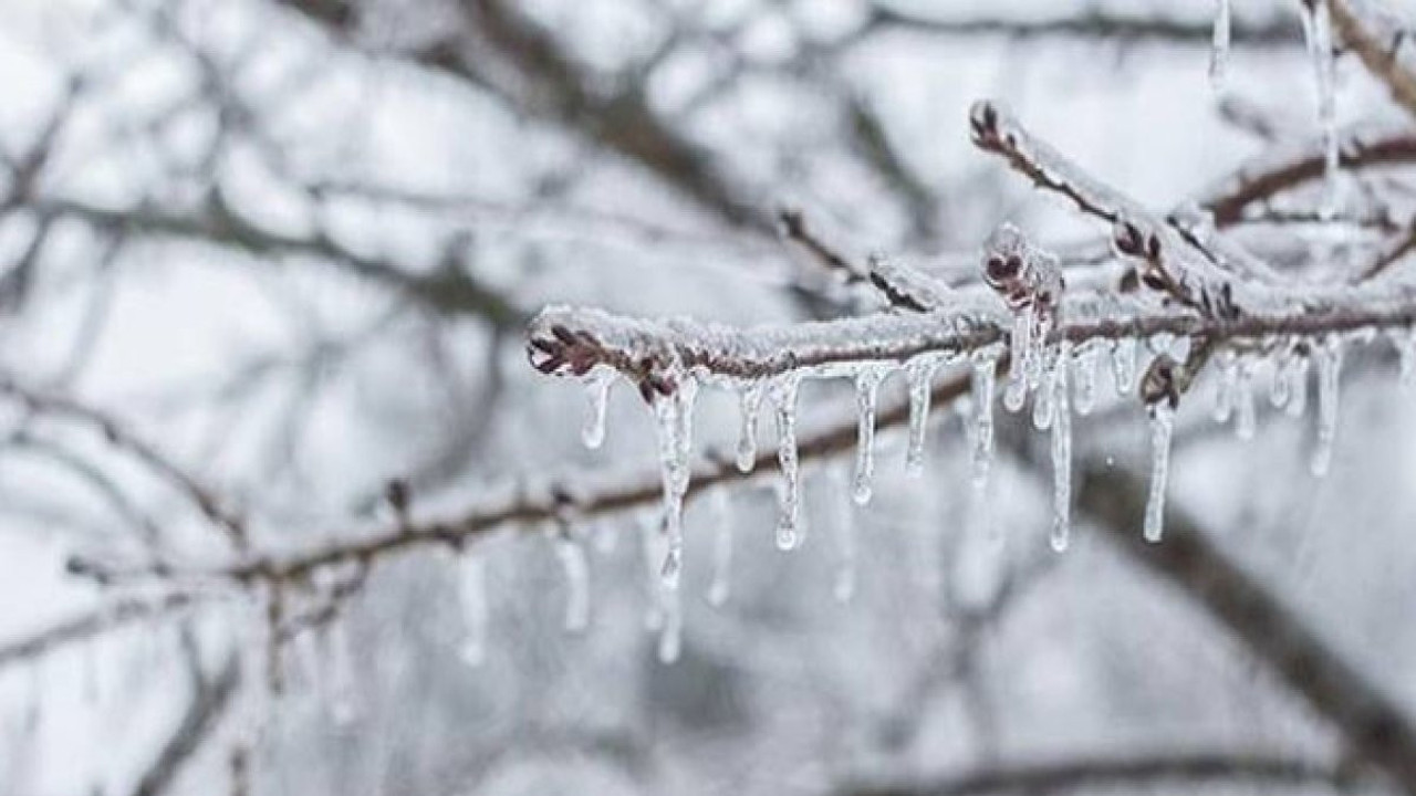 Meteorolojiden bir il için daha zirai don uyarısı