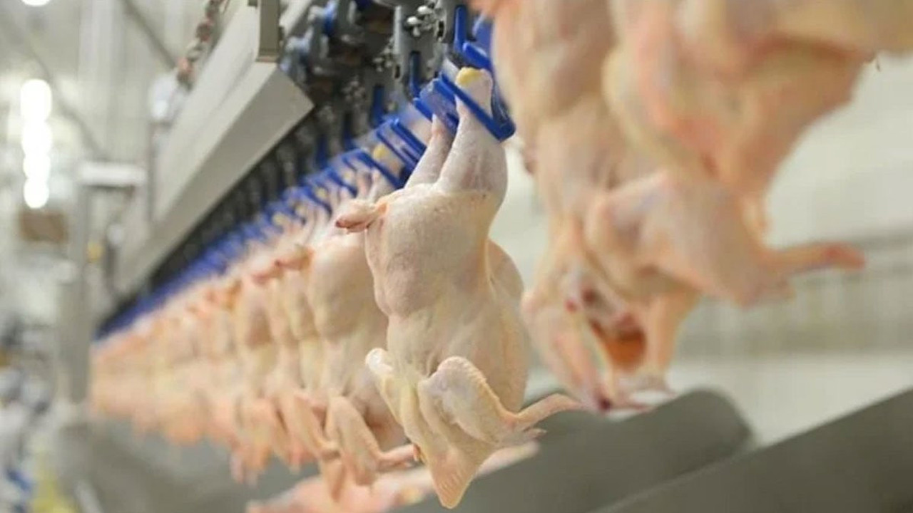 Türkiye'nin dev tavuk firmasında skandal! Her yerden toplatılıyor