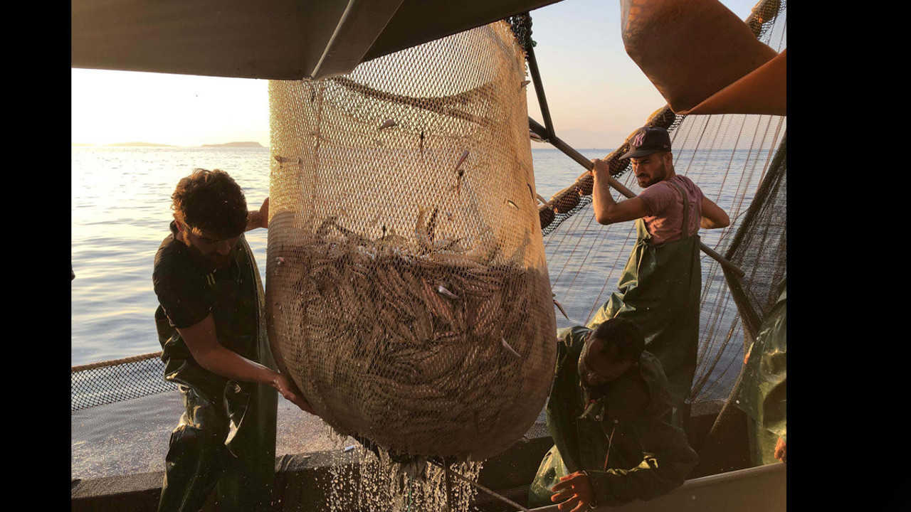Türkiye’de sular sessizleşiyor: 31 Ağustos’a kadar yasak: Uymayanlara rekor ceza verilecek
