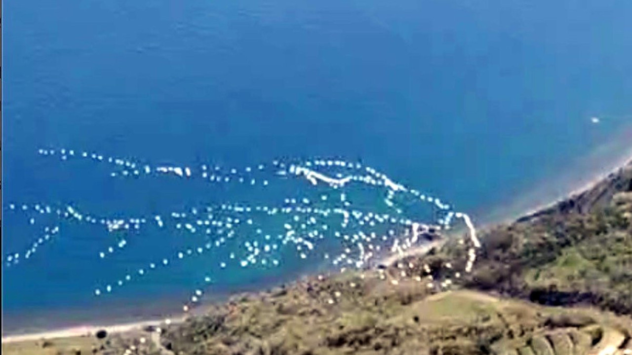 Pelikanlar gökyüzünü süsledi!