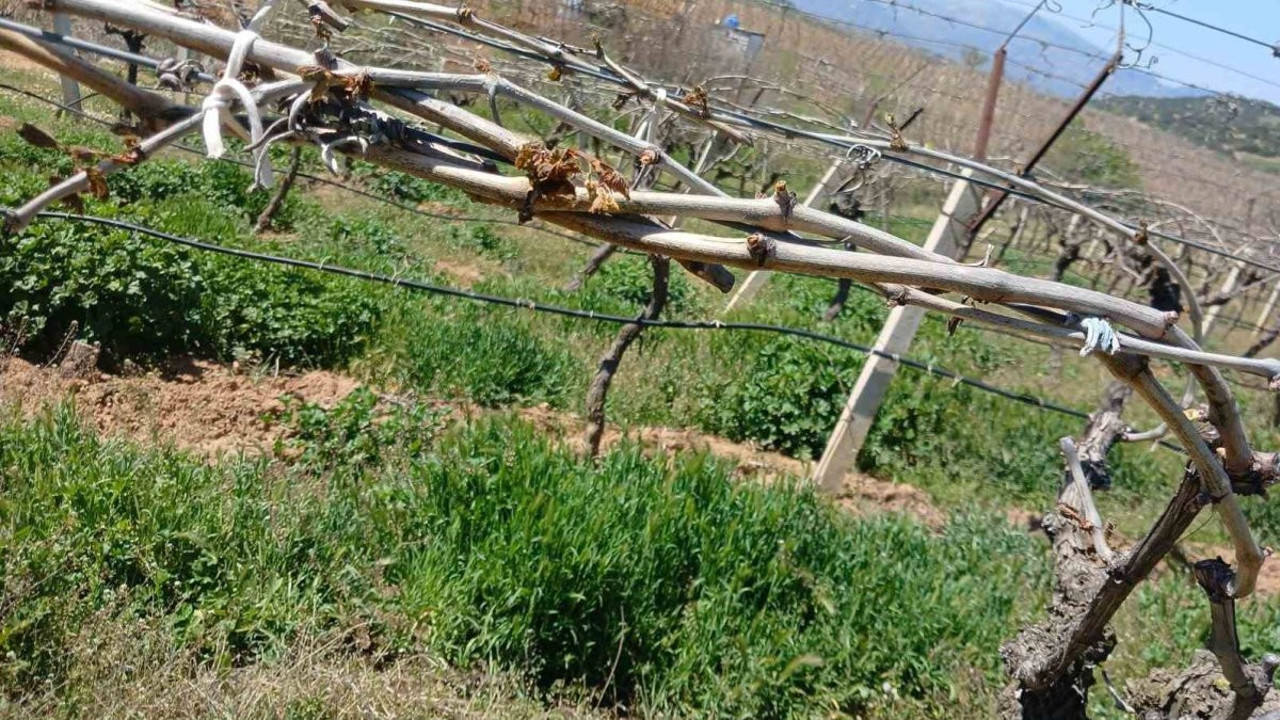 Don afetini yaşadı çalışmaya ara vermedi