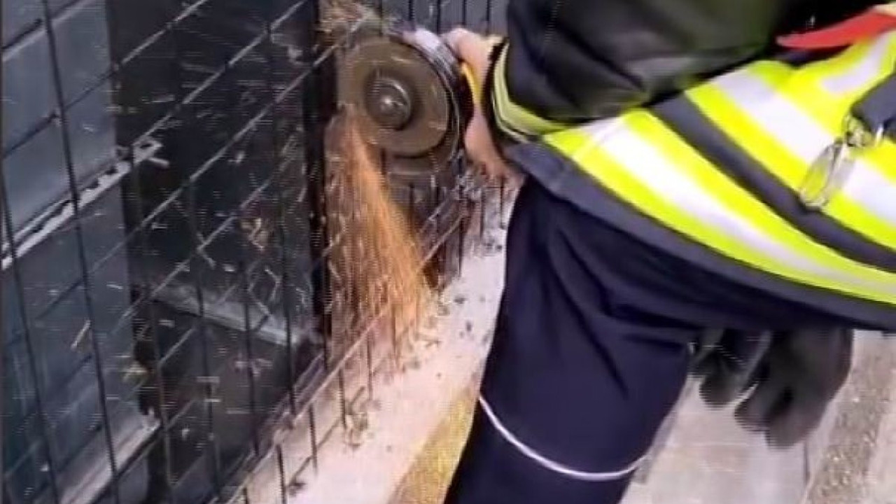 Havalandırma boşluğuna düşen kediye itfaiye yetişti