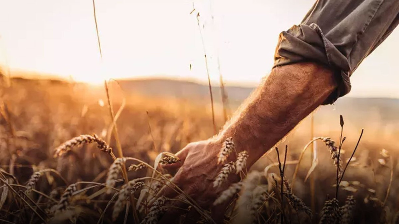 Çiftçilere destek müjdesi! Bugün hesaplarına yatırılacak