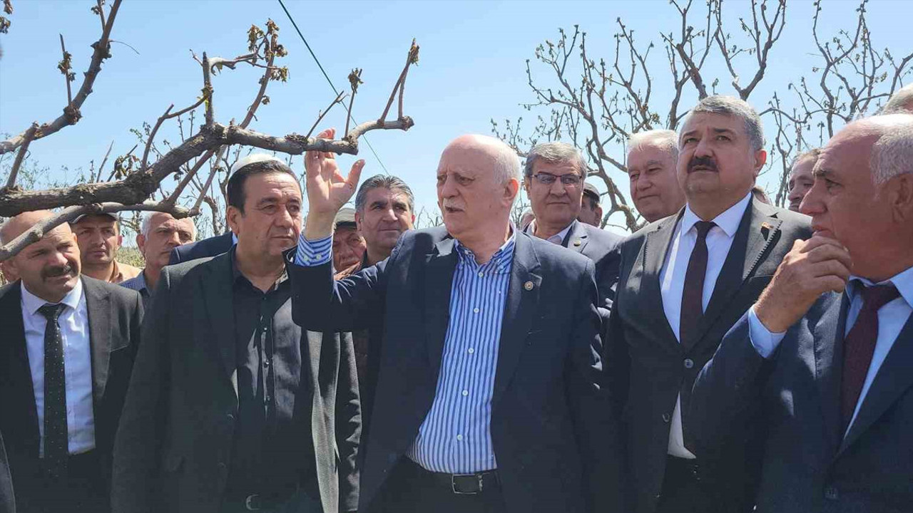 Zirai don 65 ilde çiftçiyi vurdu: Bahçelerde inceleme başladı