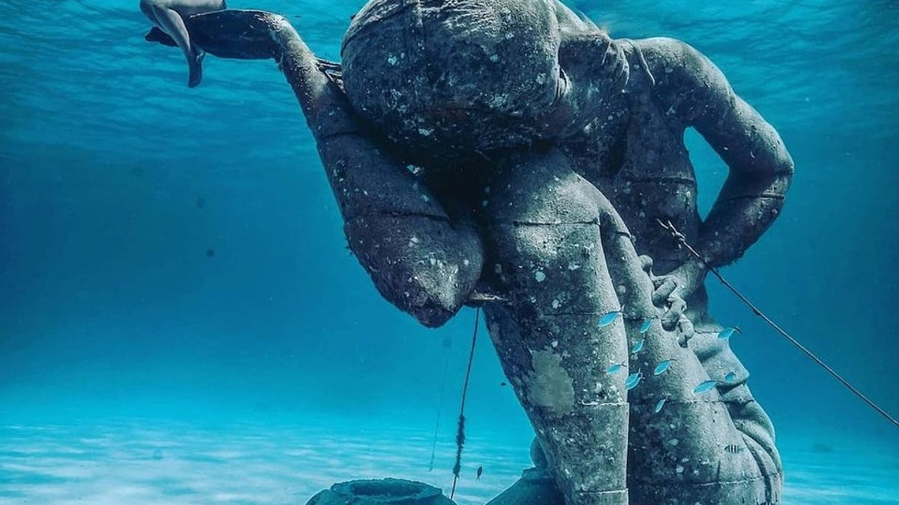 Suların derinliklerindeki büyüleyici sanat