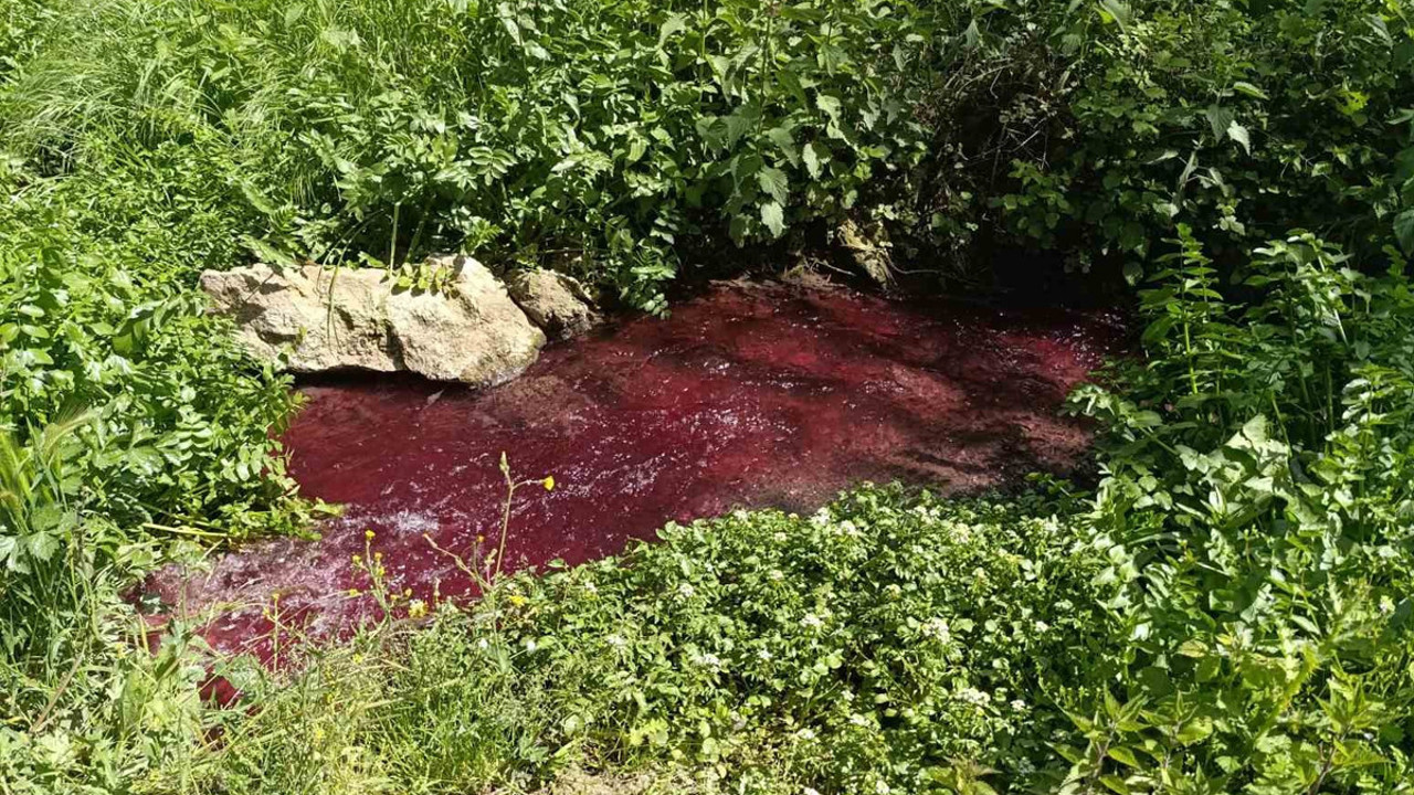 Dereye bakın bir daha bakıyor! Çiftçiler çaresiz: Tarlalar kurumaya başladı