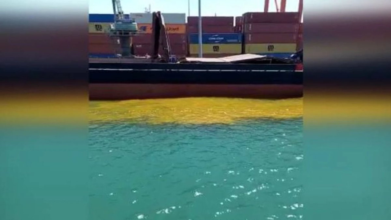 Denizi kirleten 13 gemiye rekor ceza kesildi