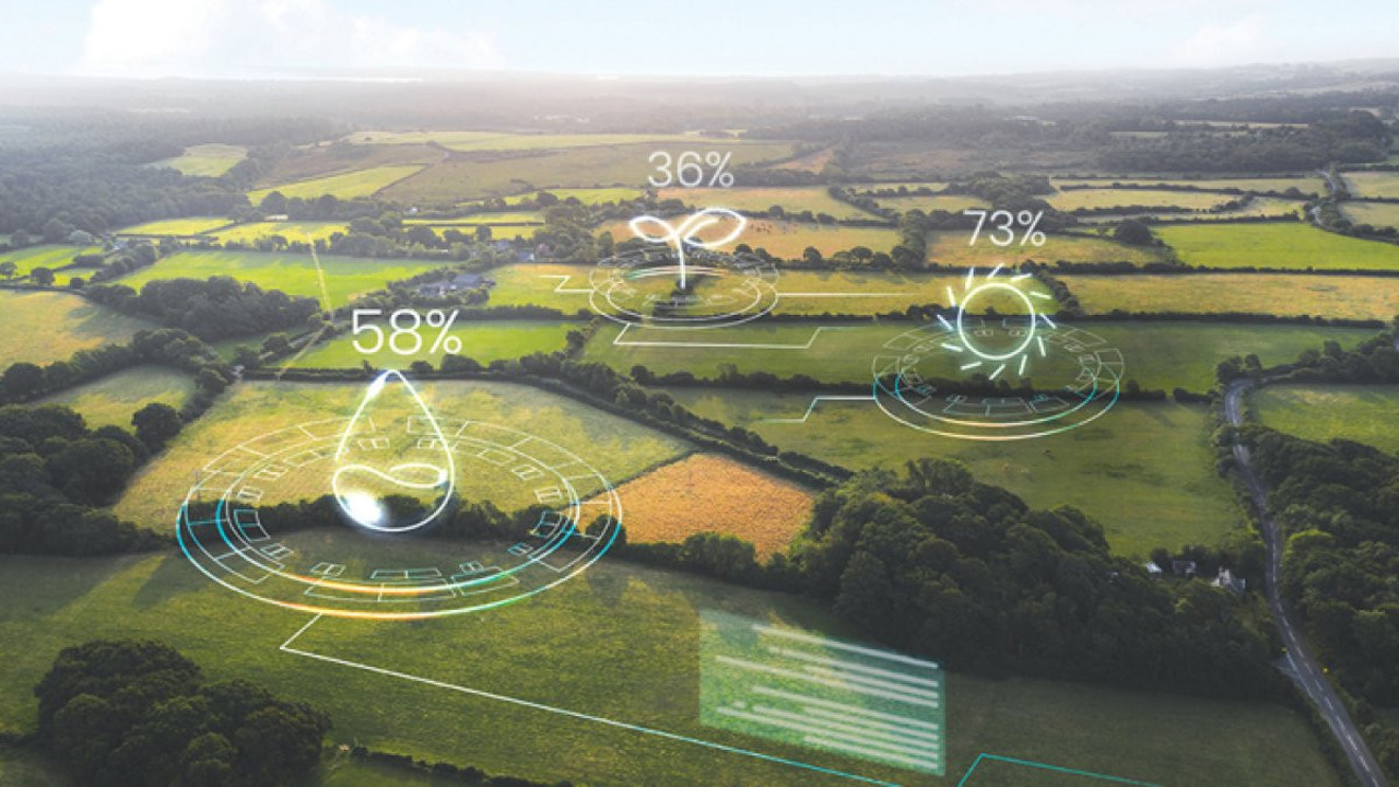 Yapay zeka tarımı yeniden şekillendiriyor! Geleceğin çiftçiliği geliyor