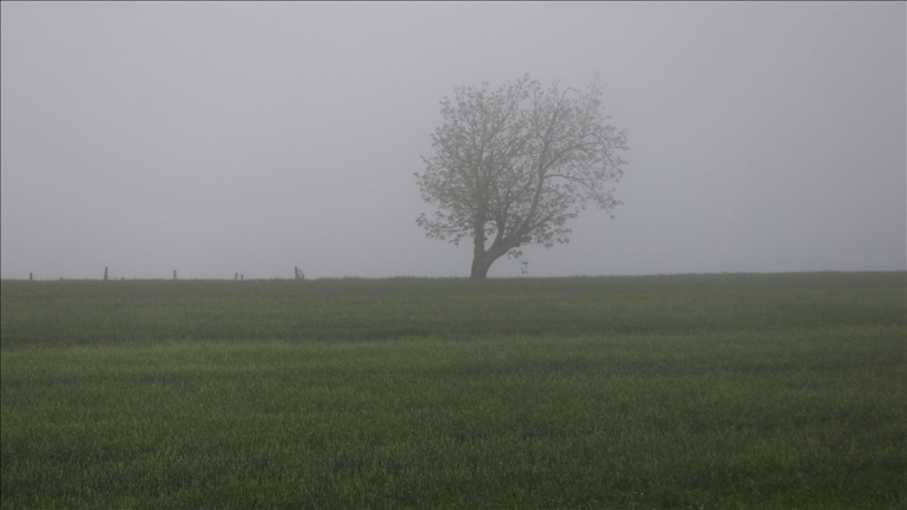 Tekirdağ'da sis bulutu görsel şölen oluşturdu
