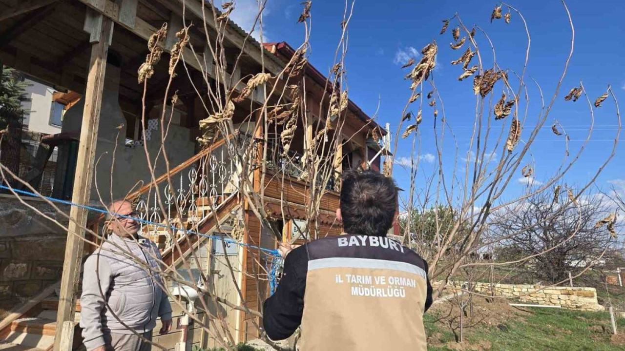 Bayburt’ta meyve ağaçları kontrol edildi