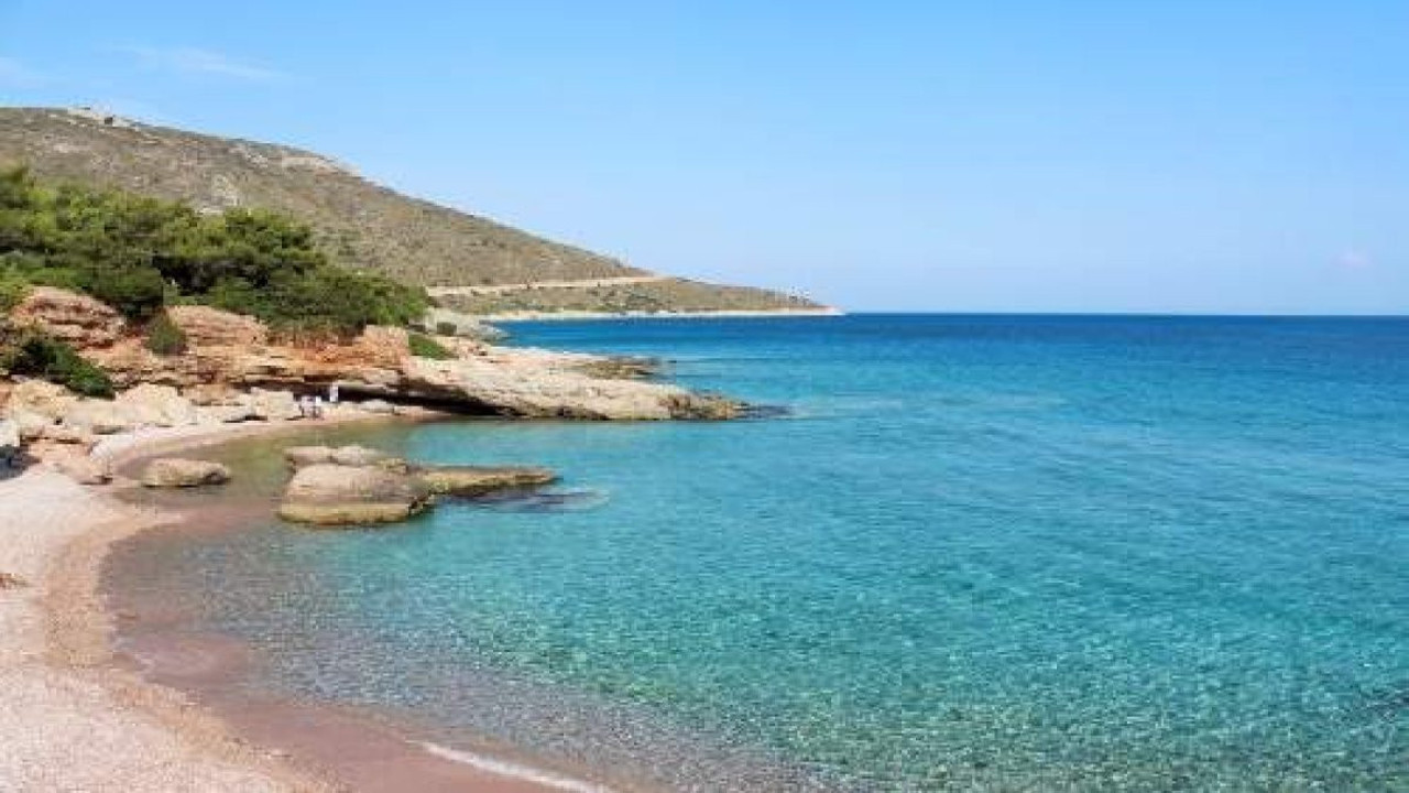 Muğla kıyılarında hareketli anlar! Görüldükten bir süre sonra kayboldu