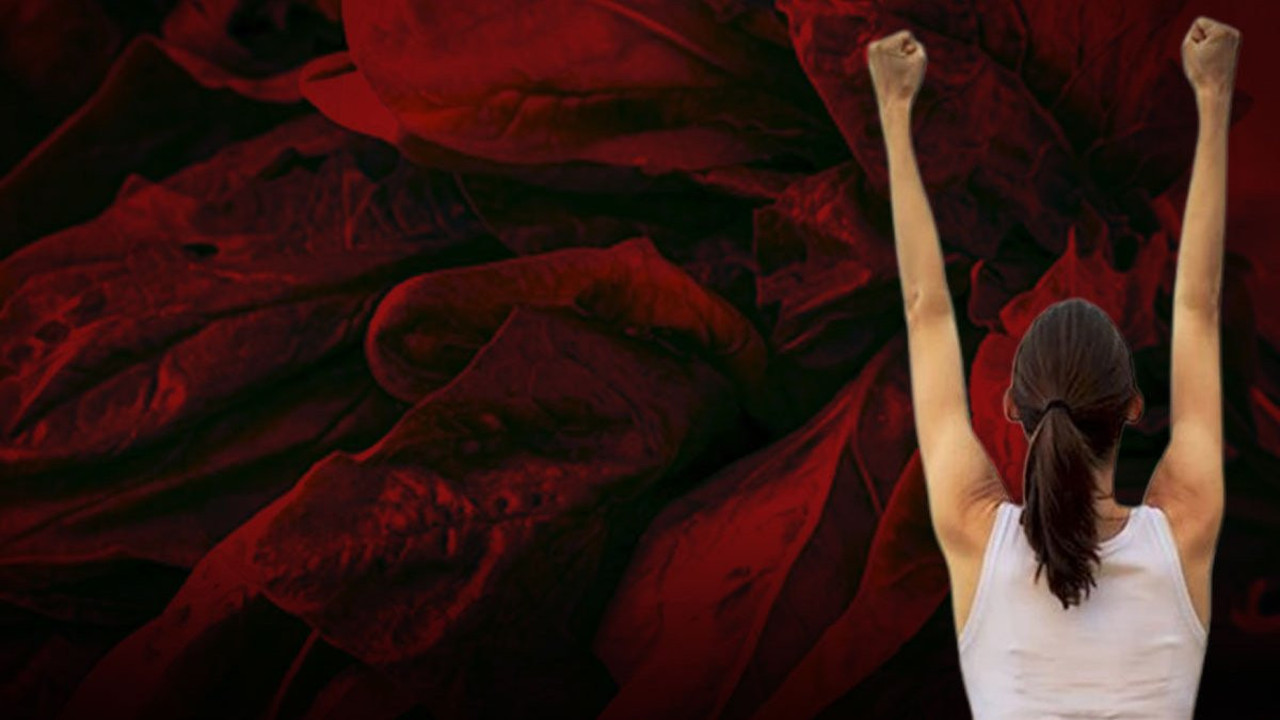 Demir hazinesi 4 besin! Vücudu sapasağlam yapıyorlar