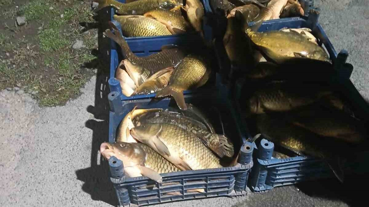 Kaçak avlanan 210 kilo balık ele geçirildi