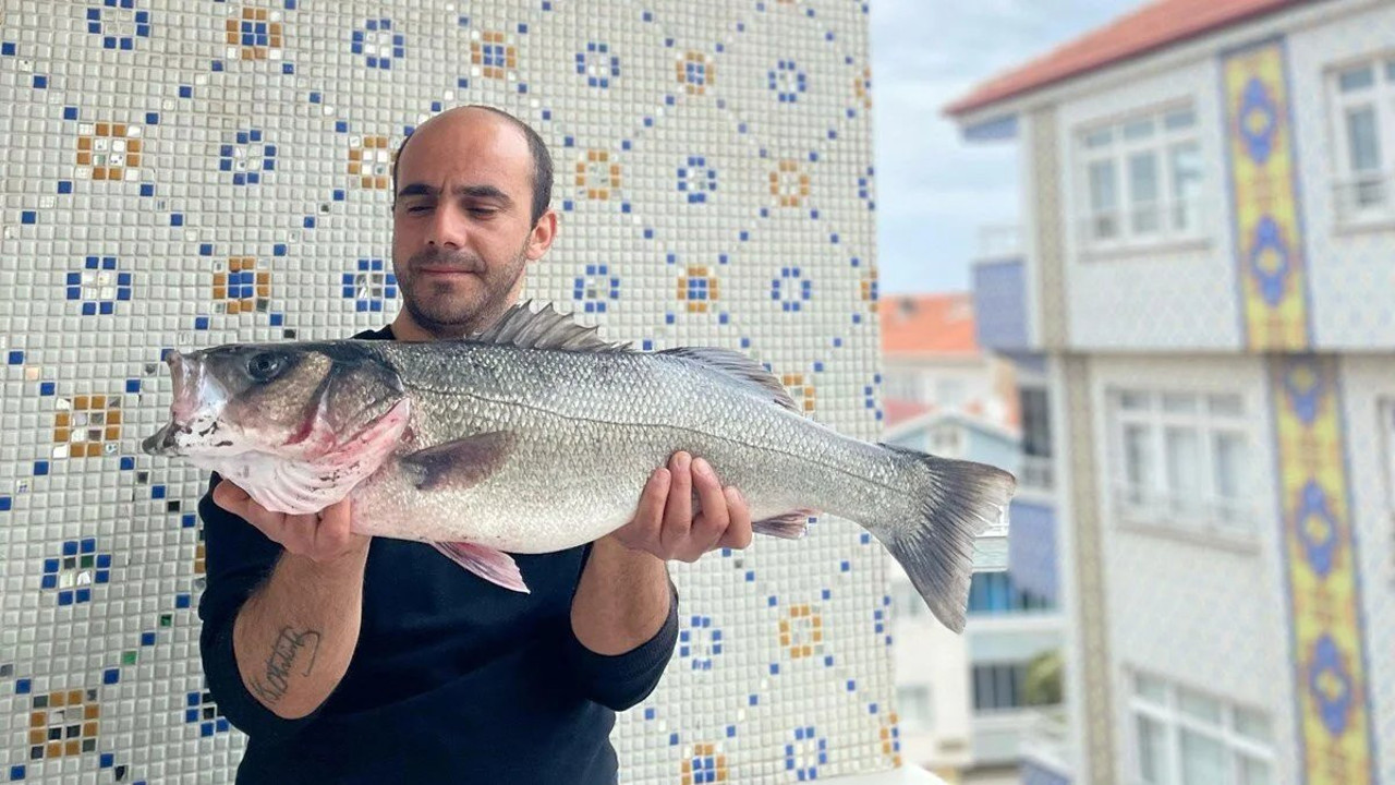 Sinopta dev levrek avlandı! Tam 7,5 kilo...