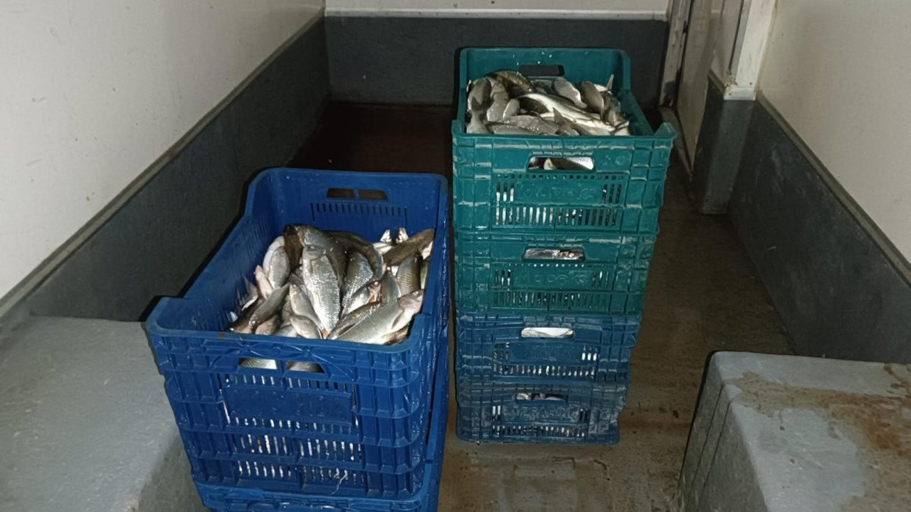 İznik Gölü’nde kaçak avcılığa baskın!