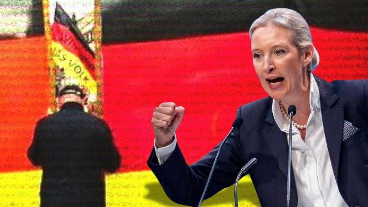 Alman demokrasisi yol ayrımında: Siyasi parti için halk "kapatın" diyor