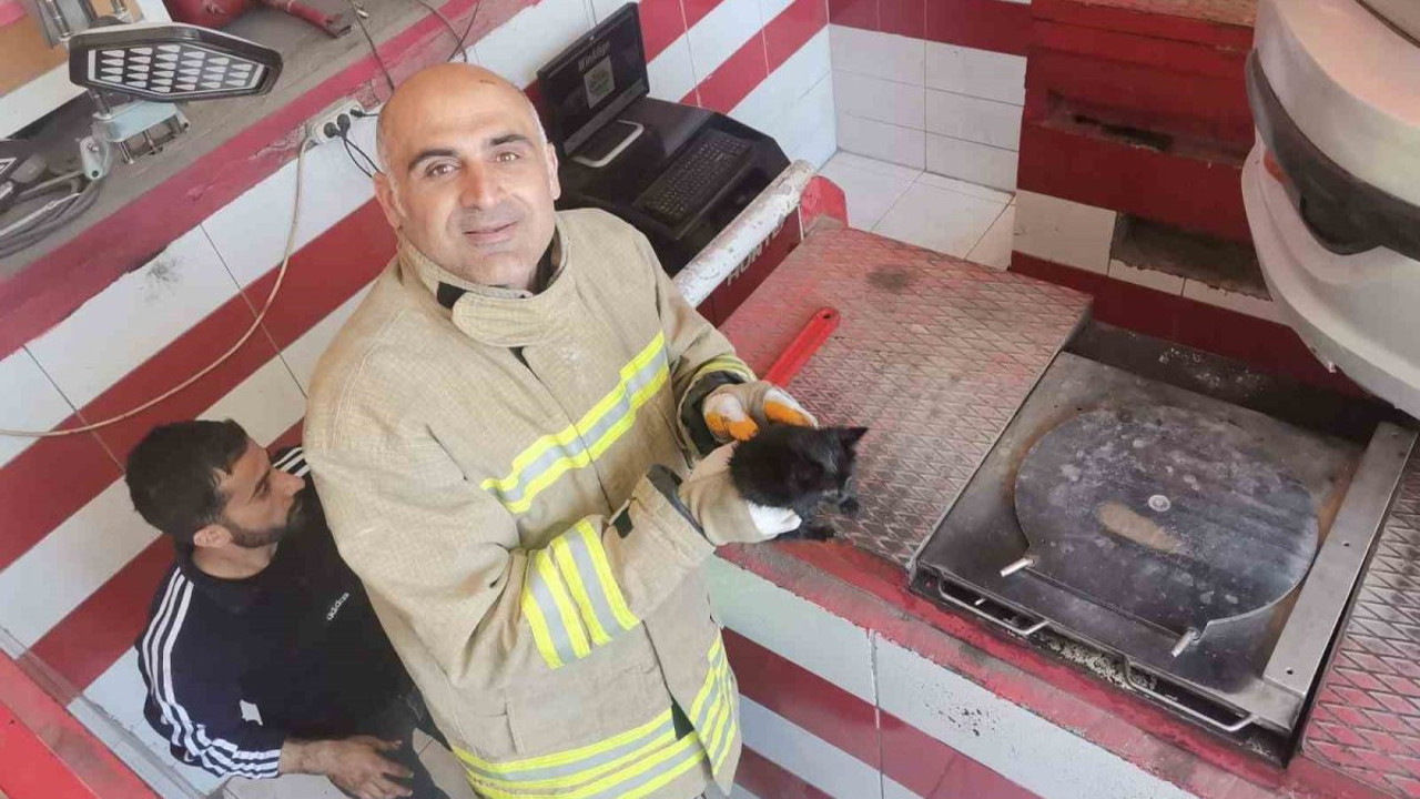 Otomobilin motor bölümüne sıkışan yavru kedi kurtarıldı