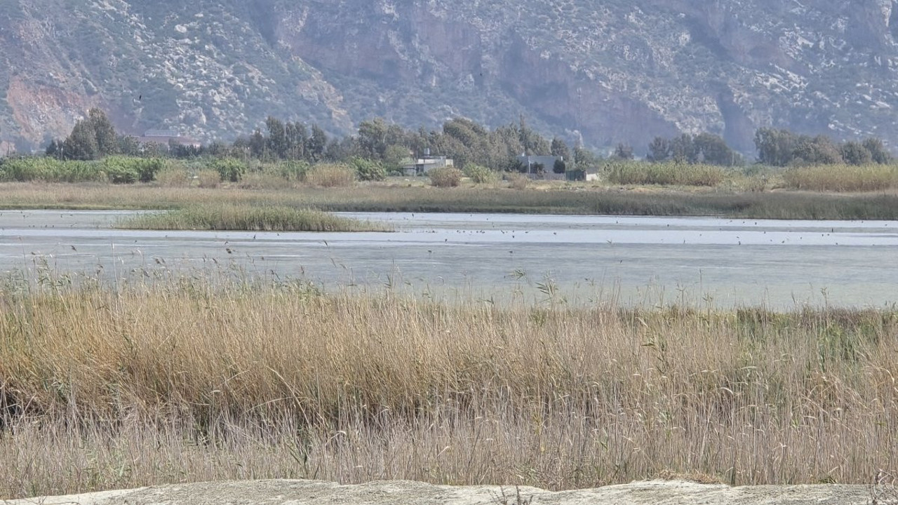 Kuş cennetinde 12 yeni tür gözlendi